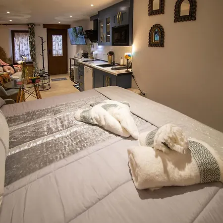 Roca Loft Maruja Apartment *